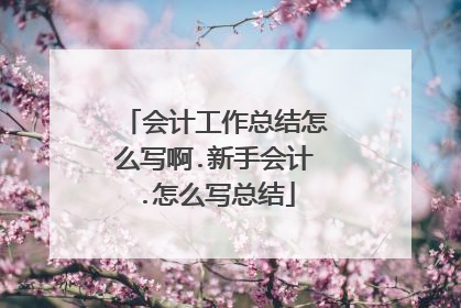 会计工作总结怎么写啊.新手会计.怎么写总结
