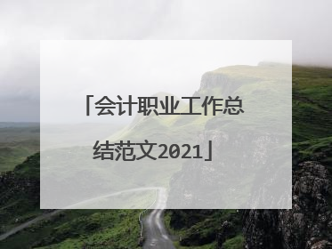 会计职业工作总结范文2021