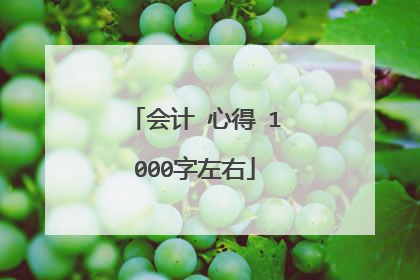 会计 心得 1000字左右