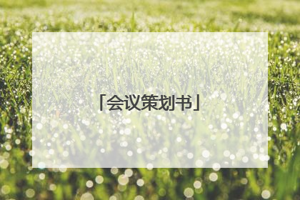 会议策划书