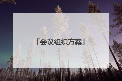 会议组织方案