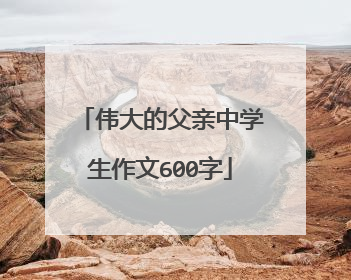 伟大的父亲中学生作文600字