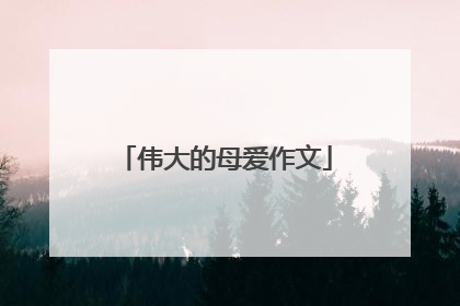 伟大的母爱作文