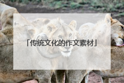 传统文化的作文素材