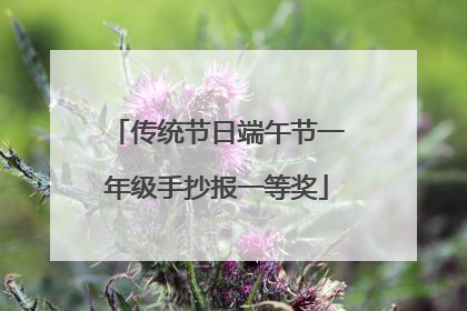 传统节日端午节一年级手抄报一等奖