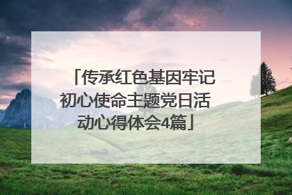 传承红色基因牢记初心使命主题党日活动心得体会4篇