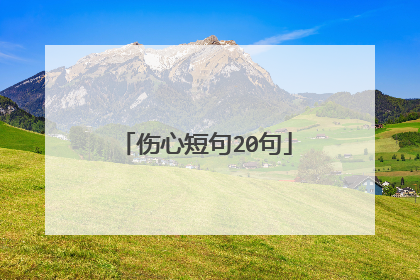 伤心短句20句