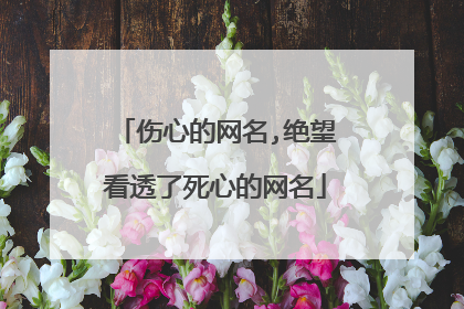 伤心的网名,绝望看透了死心的网名