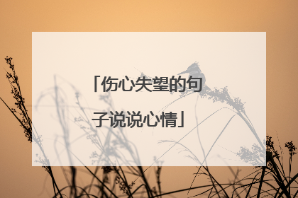 伤心失望的句子说说心情