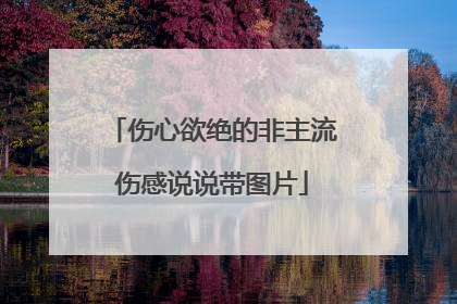 伤心欲绝的非主流伤感说说带图片
