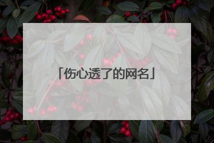 伤心透了的网名