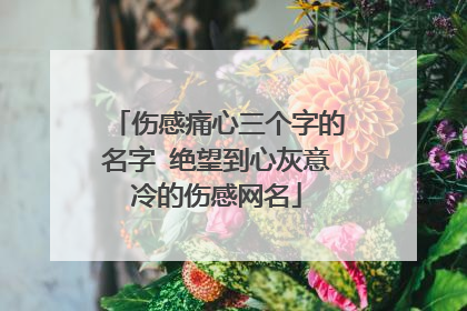 伤感痛心三个字的名字 绝望到心灰意冷的伤感网名