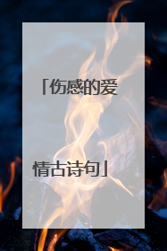 伤感的爱情古诗句