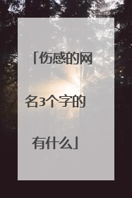 伤感的网名3个字的有什么