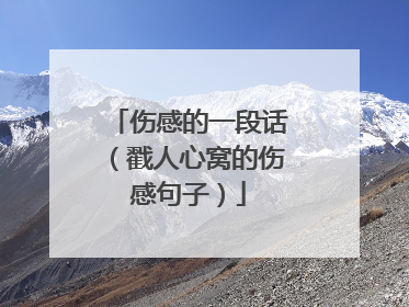 伤感的一段话（戳人心窝的伤感句子）