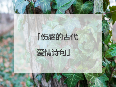 伤感的古代爱情诗句