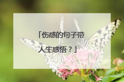 伤感的句子带人生感悟?