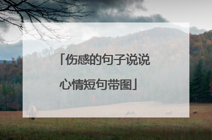 伤感的句子说说心情短句带图