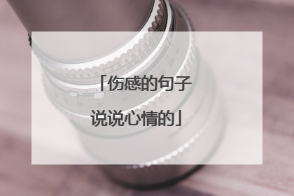 伤感的句子说说心情的