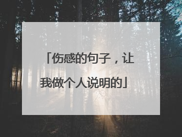 伤感的句子，让我做个人说明的