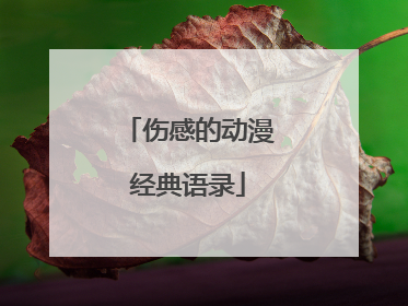 伤感的动漫经典语录