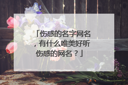 伤感的名字网名,有什么唯美好听伤感的网名?
