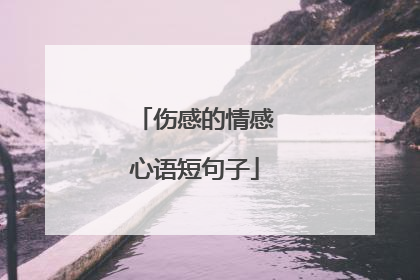 伤感的情感心语短句子