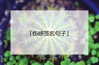 伤感签名句子
