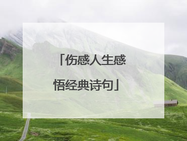伤感人生感悟经典诗句