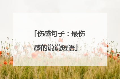 伤感句子:最伤感的说说短语