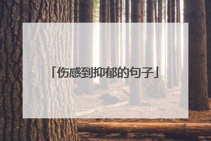 伤感到抑郁的句子