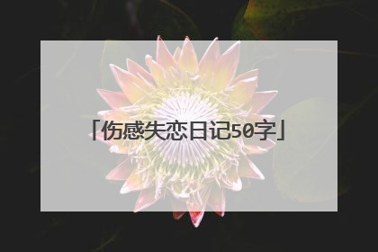 伤感失恋日记50字