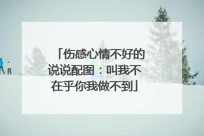 伤感心情不好的说说配图：叫我不在乎你我做不到