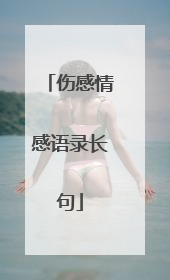 伤感情感语录长句