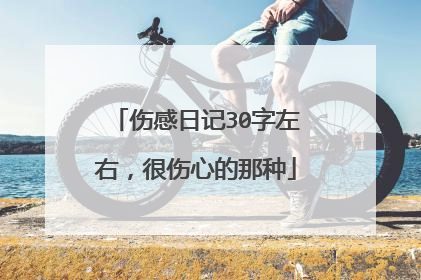 伤感日记30字左右,很伤心的那种