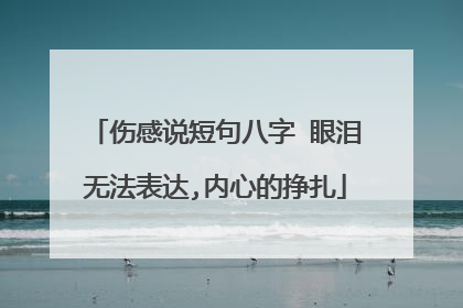 伤感说短句八字 眼泪无法表达,内心的挣扎