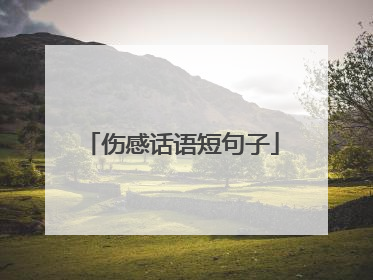 伤感话语短句子