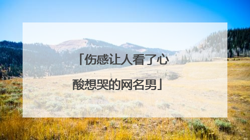伤感让人看了心酸想哭的网名男