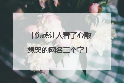 伤感让人看了心酸想哭的网名三个字