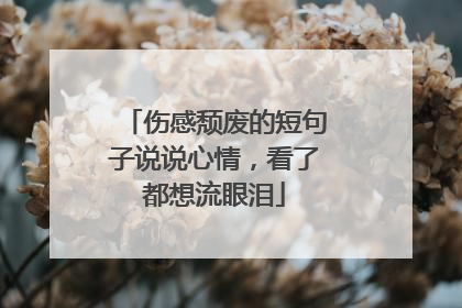 伤感颓废的短句子说说心情，看了都想流眼泪