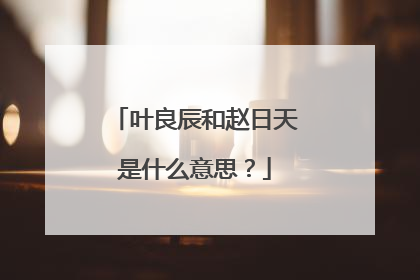 叶良辰和赵日天是什么意思？