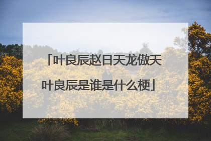 叶良辰赵日天龙傲天叶良辰是谁是什么梗