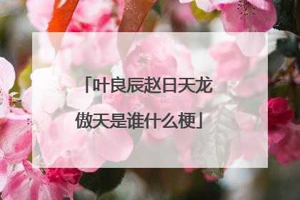 叶良辰赵日天龙傲天是谁什么梗