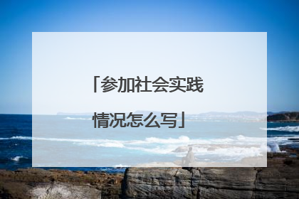参加社会实践情况怎么写