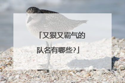 又狠又霸气的队名有哪些?