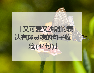 又可爱又沙雕的表达有趣灵魂的句子收藏(44句)