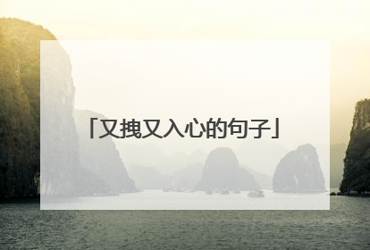 又拽又入心的句子
