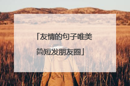 友情的句子唯美简短发朋友圈