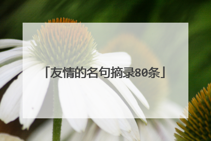 友情的名句摘录80条