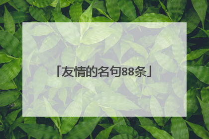 友情的名句88条